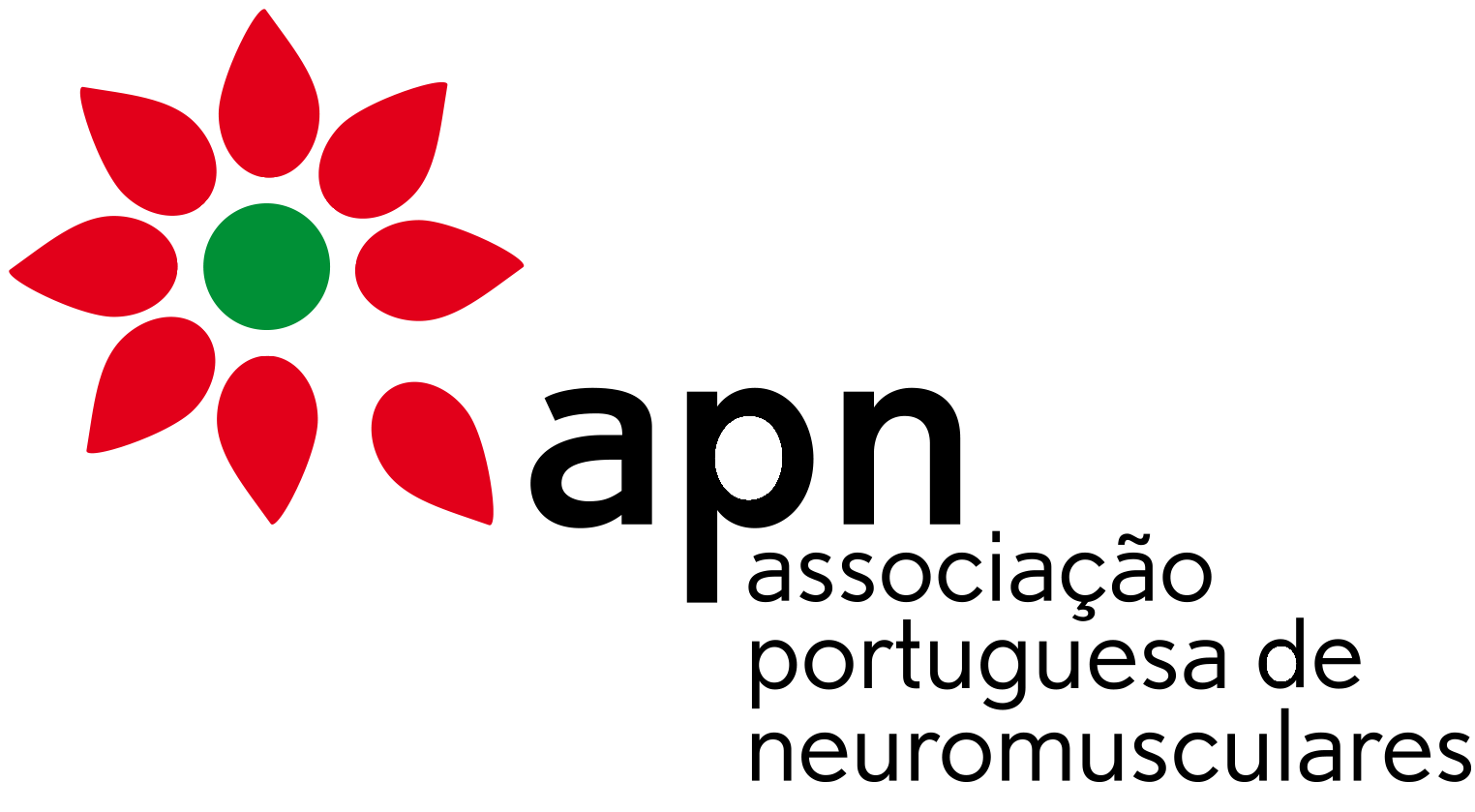 APN logo